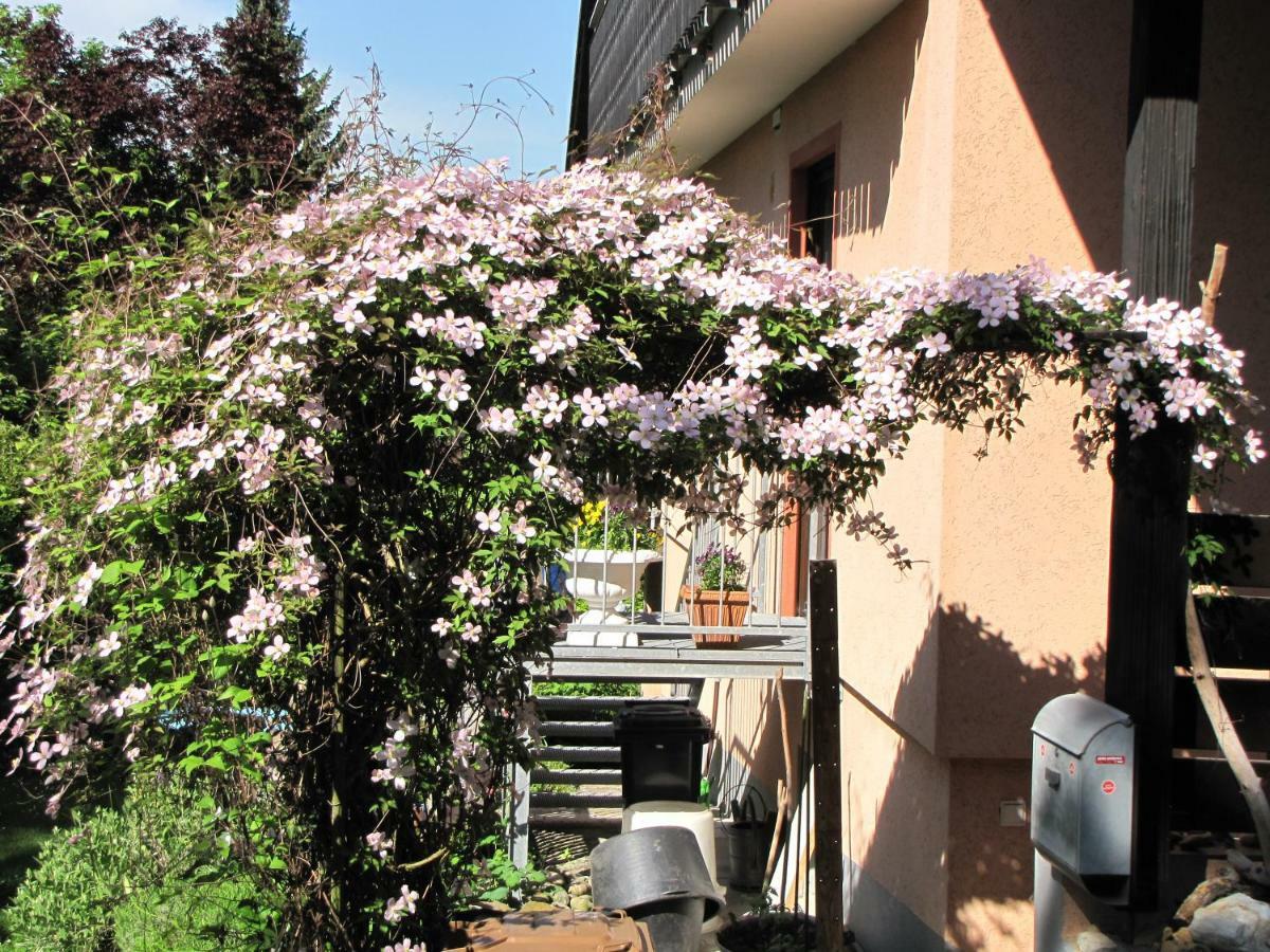 Bellairis Apartment Igersheim Exterior foto
